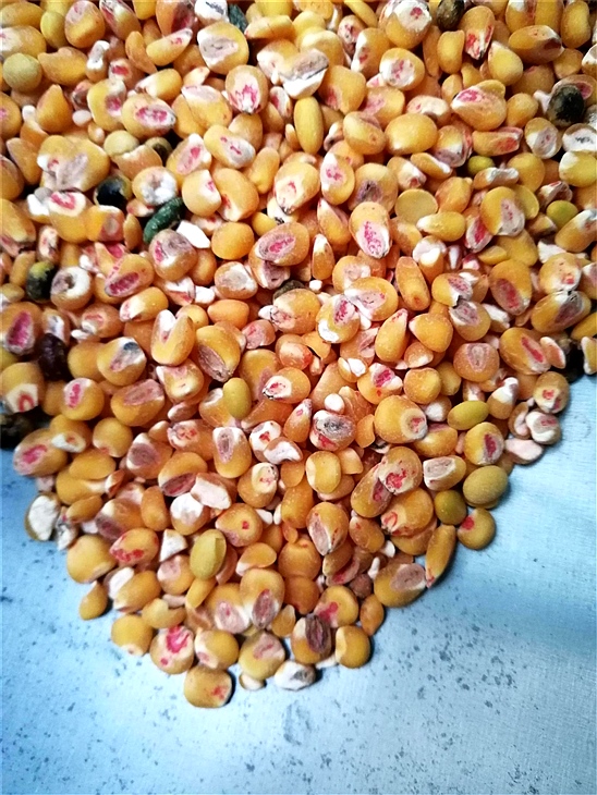 去麻豆AV片在线观看药种子包衣外皮去皮机 去麻豆AV片在线观看药种子包衣外皮去皮机