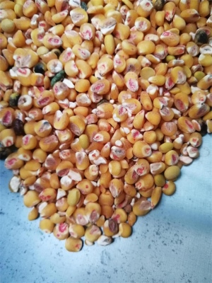 去麻豆AV片在线观看药种子包衣外皮去皮机